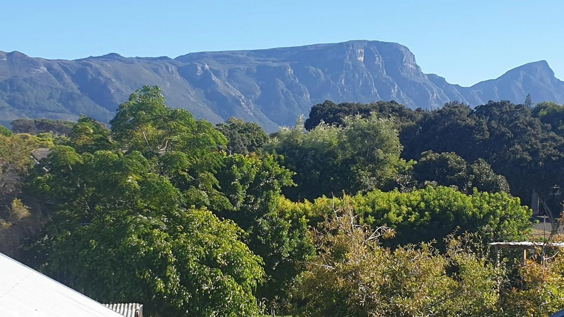 Clement One, A Villa For Family & Friends Cape Town South Africa